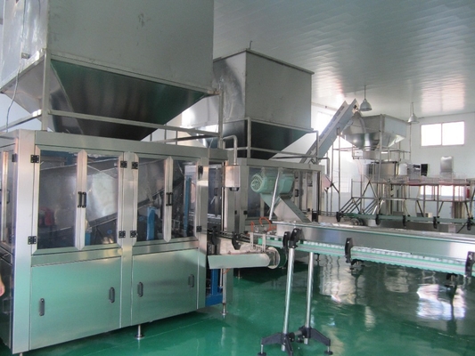 Tecnología Línea de producción de agua mineral de 10000 kg para la producción a gran escala