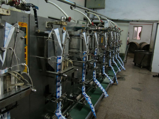 Completa la línea de producción de agua en bolsas para un llenado rápido y preciso a 2200 bolsas/hora
