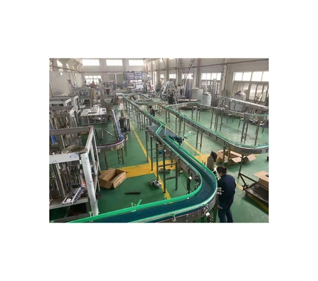 Planta de embotellado de agua de tamaño de botella estándar para requisitos de producción personalizados