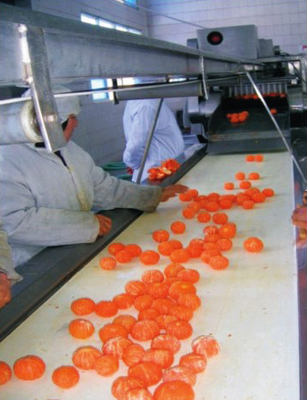 Materia prima 7 Maquina de llenado de espinas para la línea de producción de jugo de frutas frescas