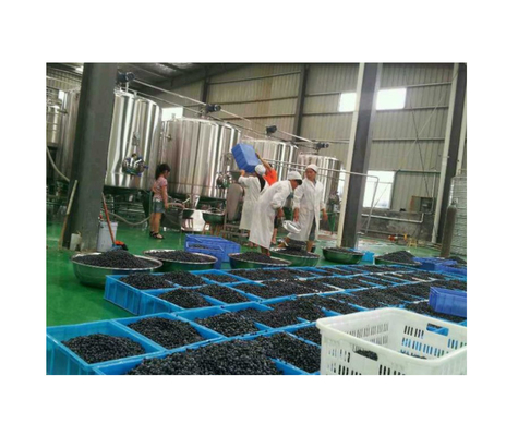 Precisión de llenado 100% Máquinas para bebidas Línea de producción de material de cinturón plástico/SUS304
