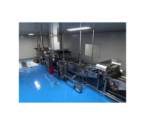 Sistema de esterilización de túnel de inmersión personalizado para la línea de fabricación de pasta empacada
