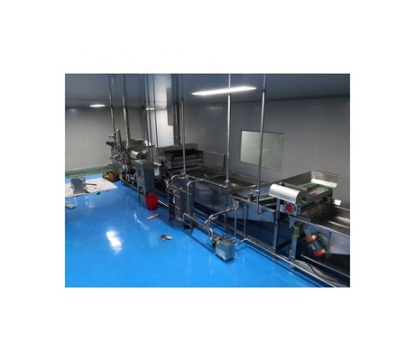 Sistema de esterilización de túnel de inmersión personalizado para la línea de fabricación de pasta empacada
