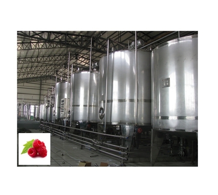 Planta de procesamiento de puré de frutas frescas y frambuesas para bebidas de acero inoxidable 304/316